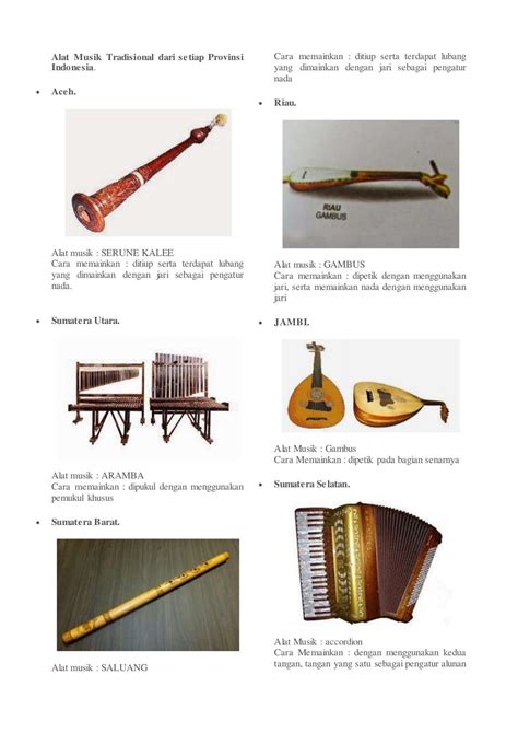 Alat Musik Tradisional Dari Setiap Provinsi Indonesia