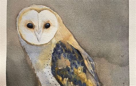 Owl Paintings