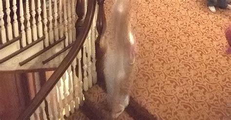 'Ghosts' Caught On Camera At Famed Stanley Hotel In Colorado | HuffPost