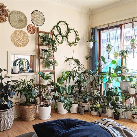 20 Plant Decor At Home
