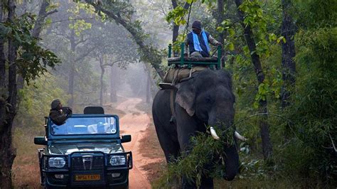 There Is Much To Do In Bandhavgarh National Park Apart From Jungle Safari