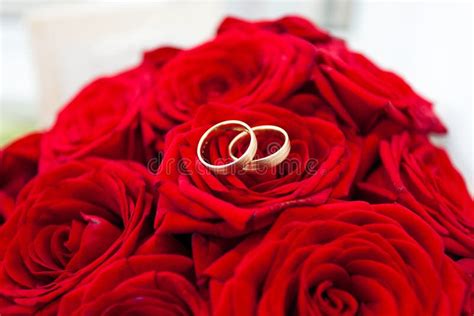 Wedding Rings On Red Roses Stock Image Image Of Fashion 29272965