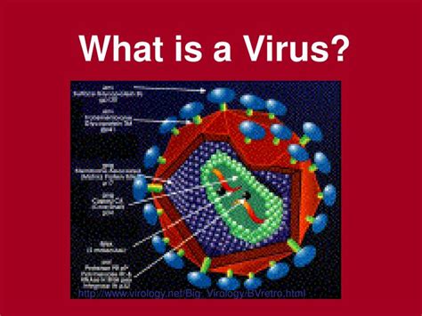 Ppt What Is A Virus Powerpoint Presentation Free Download Id3533948