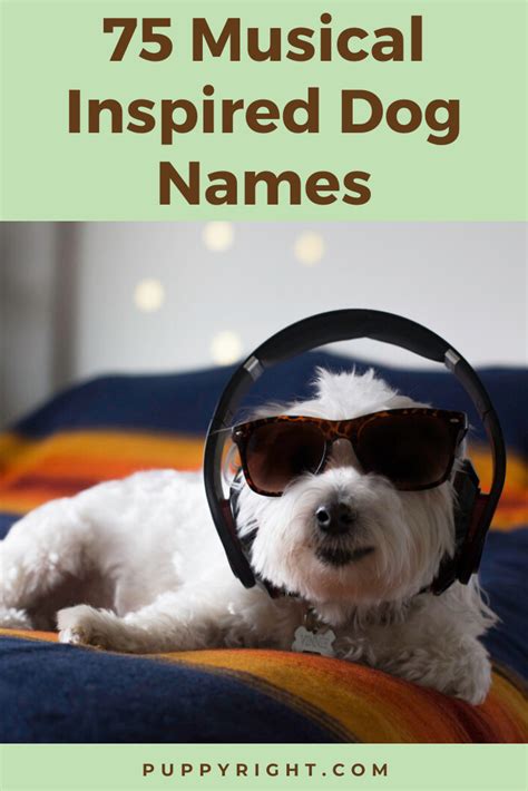 Over 75 Musical Inspired Dog Names Artofit