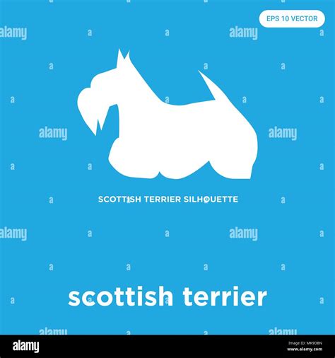 Scottish Terrier Icono Vectorial Aislado Sobre Fondo Azul Señal Y