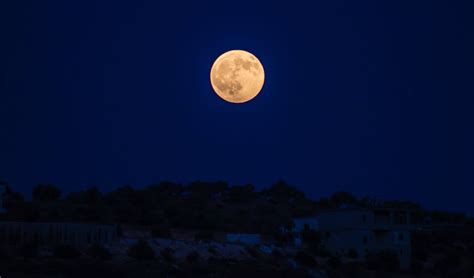 Wellington = friday * 25 june 2021. The Full Moon on 12/12 at 12:12 AM - PRESSREELS