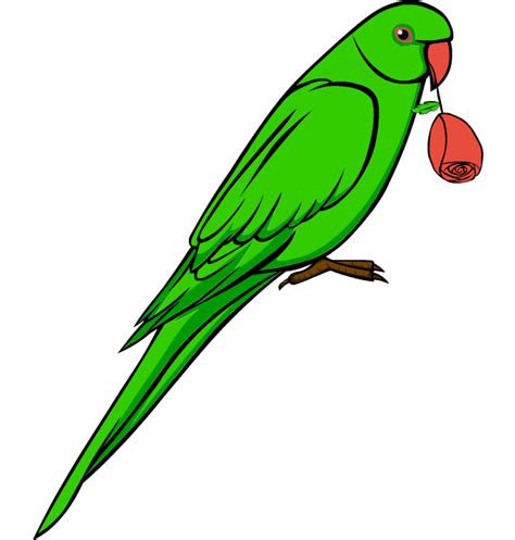 Free Green Parrot Cliparts Download Free Green Parrot Cliparts Png