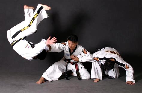 15 Which Is Better Hapkido Or Taekwondo Hutomo