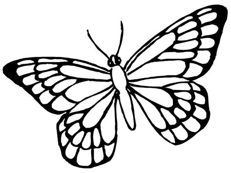 Mariposas para Colorear o Dibujar 😍 Mariposas de Colores