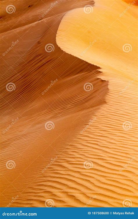 Sand Dunes Of Sharqiya Wahiba Sands Om Stock Photo Image Of Sand