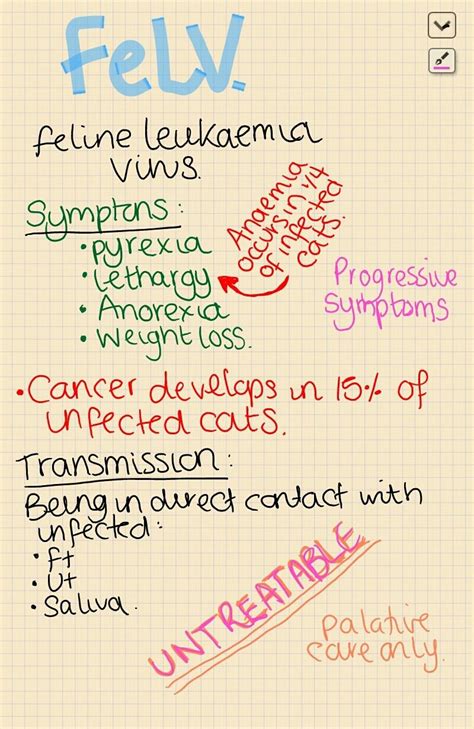 Vet Tech Cheat Sheets Pdf