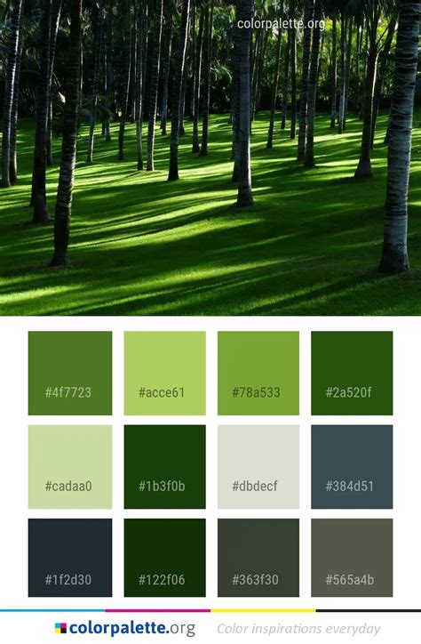 Green Nature Grass Color Palette