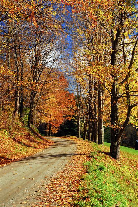 Autumn Country Road Photograph By James Kirkikis Fine Art America