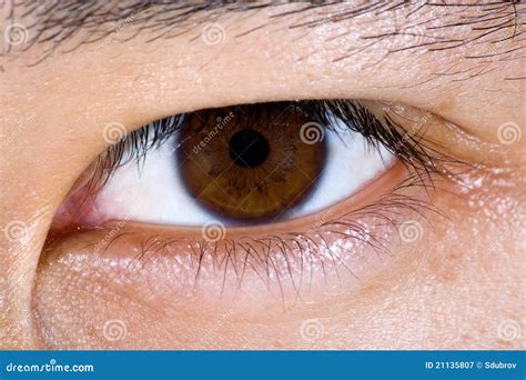 Close Up Of Brown Male Eye Royalty Free Stock Photography Image 21135807