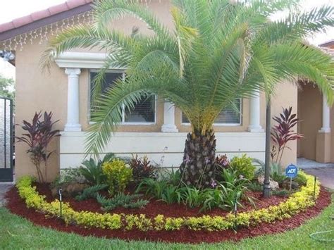 Cute Palm Gardening Ideas For Front Yard 25 Florida Landscaping Palm