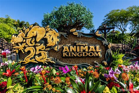 Disneys Animal Kingdom Celebrates 25th Anniversary With A Special