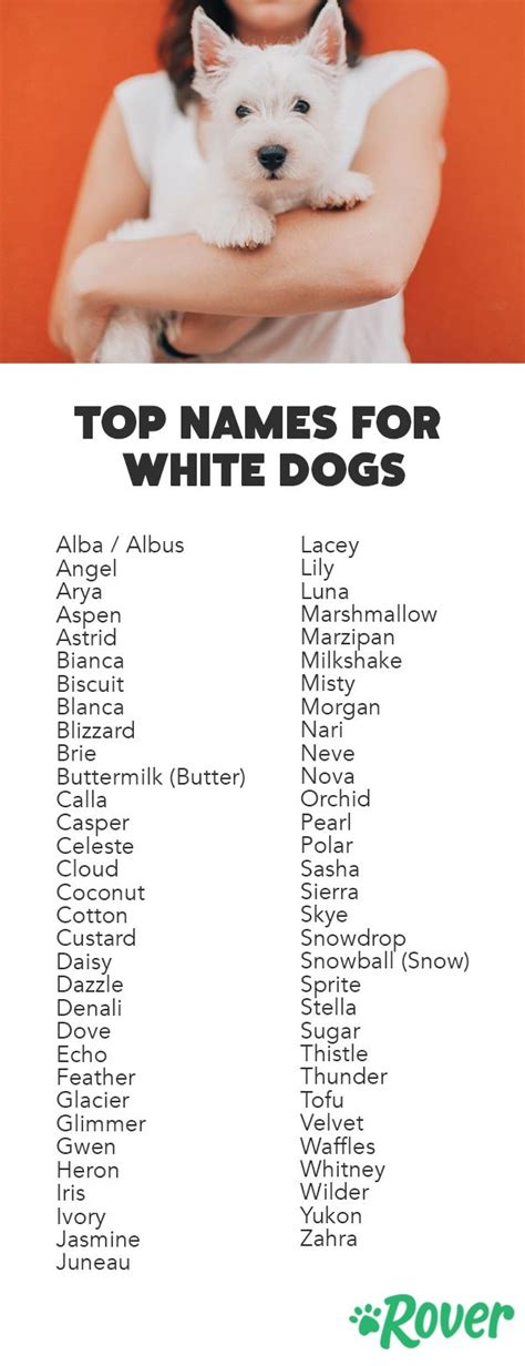 62 Best White Dog Names In 2019 Cute Names For Dogs Dog Names