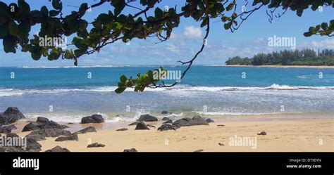Beach On Kauaihawaii Stock Photo Alamy