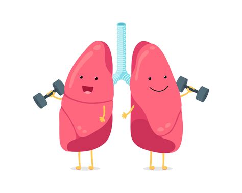 Cute Cartoon Funny Lungs Character With Dumbbells Strong Smiling Lung Human Respiratory System
