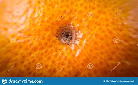 Orange Fruit Textures Skin Close Up Macro Photography Stock Image