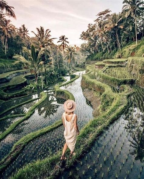 Que Ver Y Hacer En Bali 12 Imprescindibles En Bali Y Alrededores