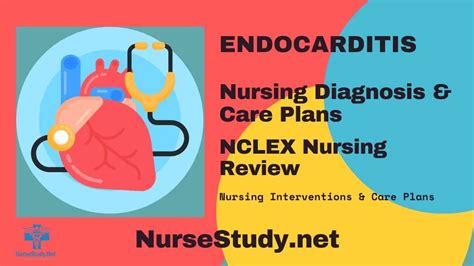 Endocarditis Nursing Diagnosis And Nursing Care Plan Nursestudynet