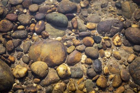 Stone Under Clear River Water Stock Photo Image Of Stone Textured