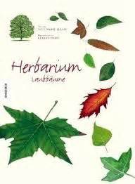 (vorlage gibt's hier!) natürlich kann man sich nur an das . herbarium deckblatt - Google-Suche | Pflanzen, Deckblatt ...