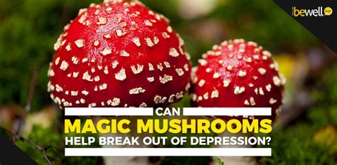 Can Magic Mushrooms Help Break Out of Depression? | BeWellBuzz