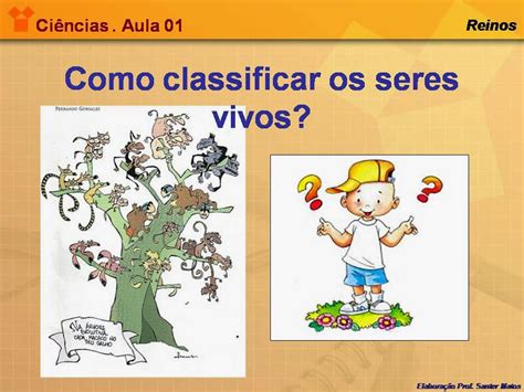 Classificar Os Seres Vivos Sempre Foi Um Grande Desafio