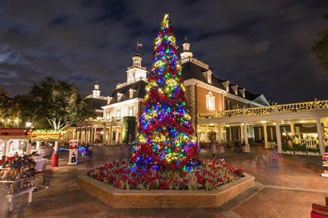 Photos Top 11 Christmas Trees Not To Miss At Walt Disney World
