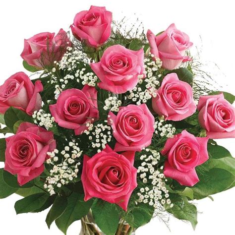 Free picture, image and photo. Classic 24 Pink Roses Bouquet | Flowers Delivery 4 U ...