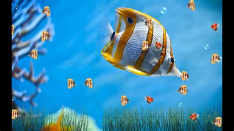 If you like aquarium fishes or beautiful colors this is wallpaper for you. Marine Life Aquarium Screensaver http://www ...