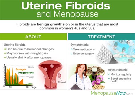 Uterine Fibroids And Menopause Menopause Now Free Download Nude Photo Gallery