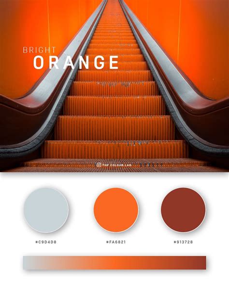 Bright Orange Color Palette