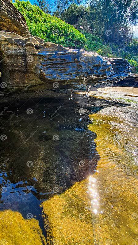 Water Dripping From The Stone Stock Image Image Of Beautiful Stone