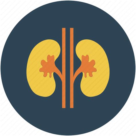 Health Kidney Medical Renal Icon