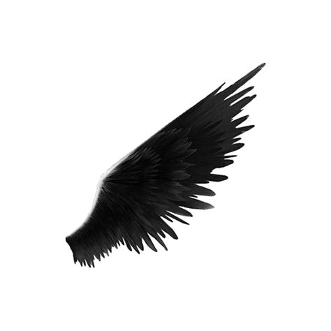Black Wings Png Transparent Image Png Arts