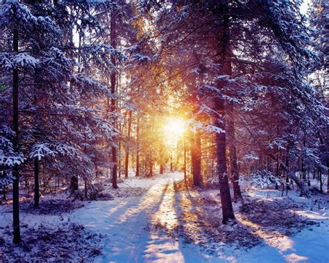 🔥 41 Winter Sunrise Desktop Wallpaper Wallpapersafari