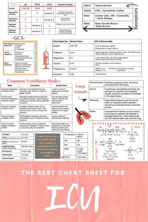 Icu Cheat Sheet Printed Laminated In 2021 Cardiac Nursing Icu