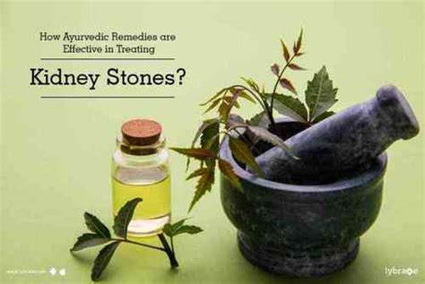 Kidney Stone Ayurvedic Medicines In Mangalore
