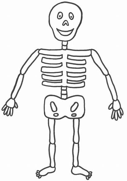 Skeleton Coloring Pages Printable Cliparts Colouring Attribution
