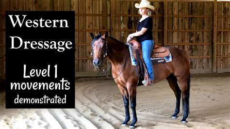 Western Dressage Level 1 Movements Demonstrated Youtube