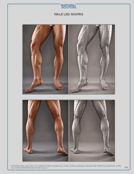 Anatomy For Sculptors Leg Anatomy Muscle Anatomy Anatomy Poses Anatomy Art Human Anatomy