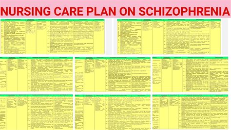 ncp 49 nursing care plan on schizophrenia psychiatric mental health disorders youtube