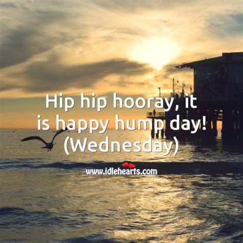 Wednesday Hump Day Quotes