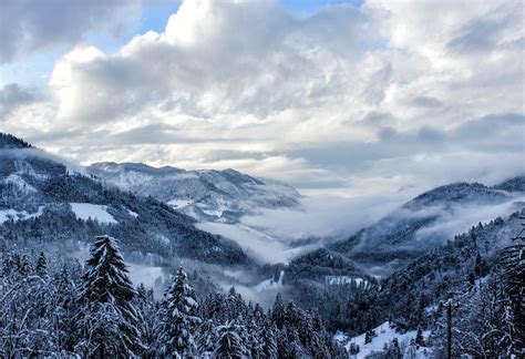 Winter Fog By Gregor K Winter Fog Fog National Geographic