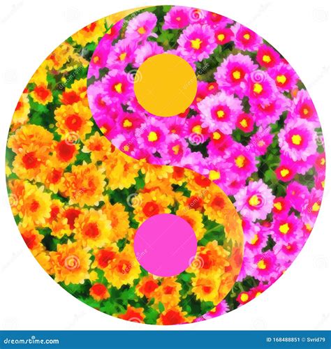 Floral Symbol Yin Yang Flower Bed Of Chrysanthemums Watercolor