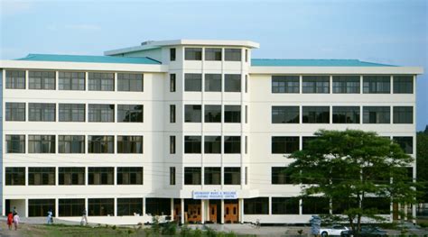 University Of Dar Es Salaam Confucius Institute