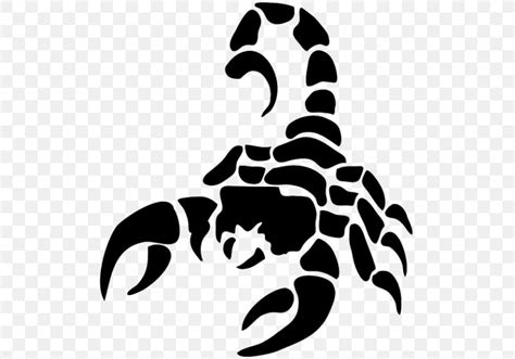 Scorpion Clip Art Png 505x573px Scorpion Astrological Sign Black